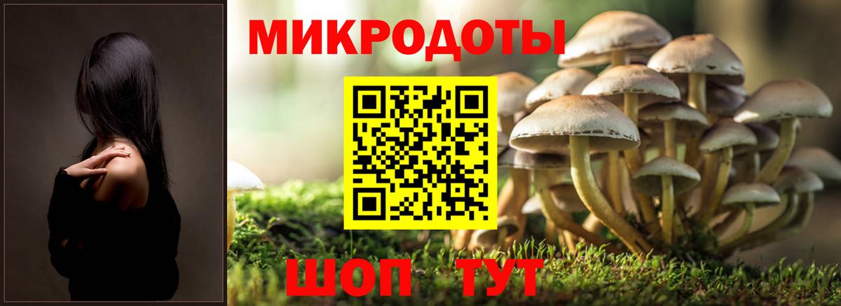 даркнет сайт  Галлюциногенные грибы ЛСД  Вход с VPN  Галлюциногенные грибы Magic Shrooms  Ногинск 